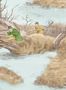 17614_01_Lewis_and_Wood_Alken_Wildfowlers_LW367-157714