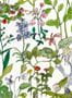 17674_NLXL_Enchanted_Garden_ASU-01-163930