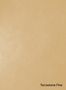 Terrastone-Fine-08-Gelbocker-colour-sample-named-190568