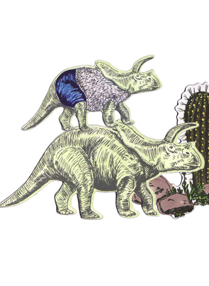 Magnet Arrhino