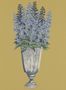 9650_2_Langelid_von-Brömssen_Delphinium_27-67-98679