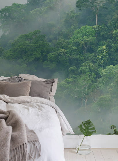 Wandbild Misty Forest