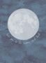 4378_1_eijffinger_over_the_moon_399119-32742