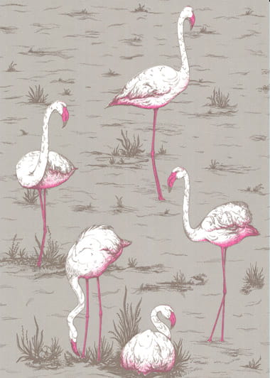 Tapete Flamingos - Stone