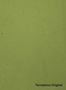 Terrastone-Original-89-Spring-Green-Bathroom-colour-sample-named-191107