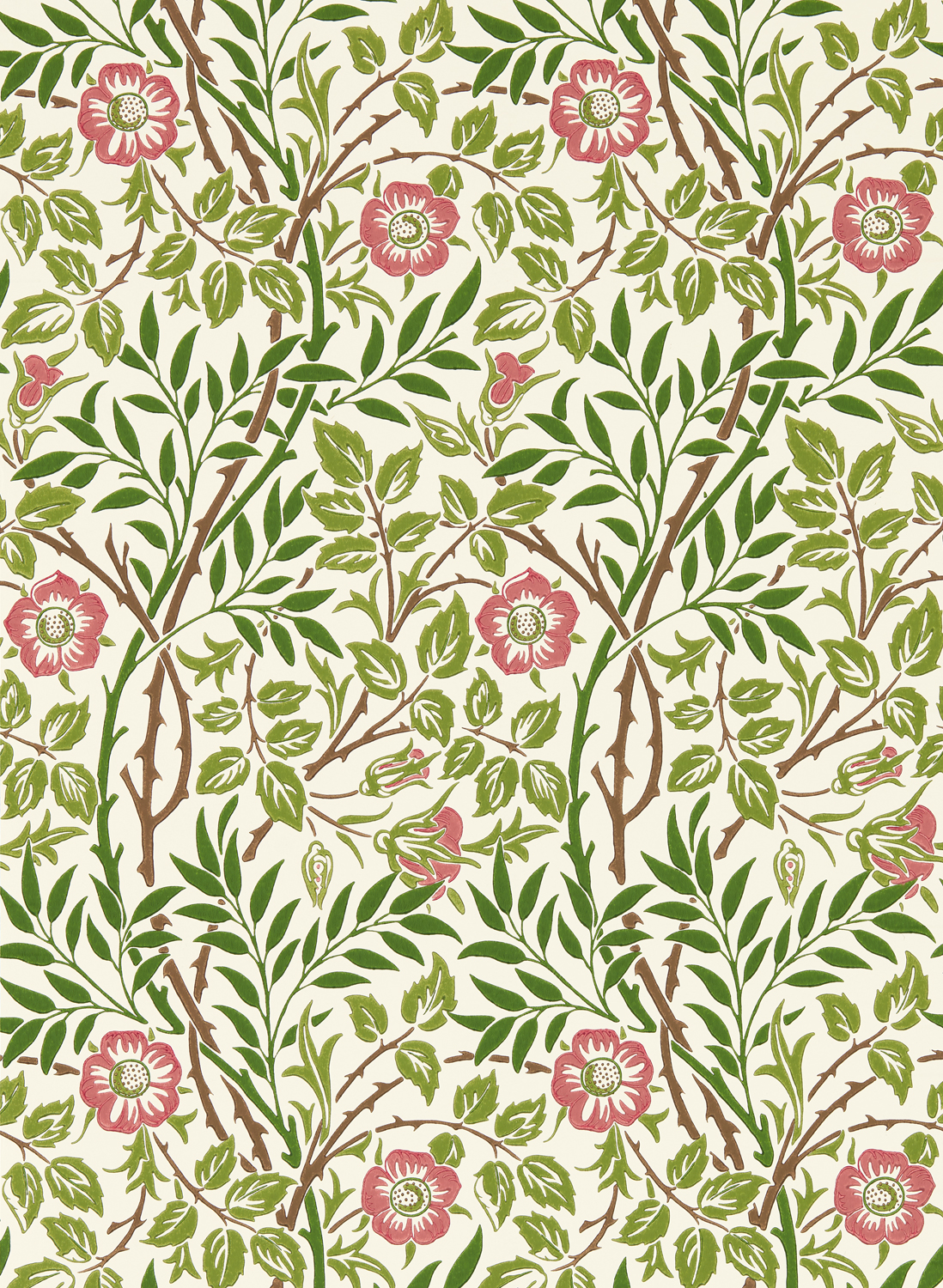 Tapete Sweet Briar - Boughs/ Rose