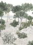 7594_2_Isidore_Leroy_Dune_Naturel_6242021-92959