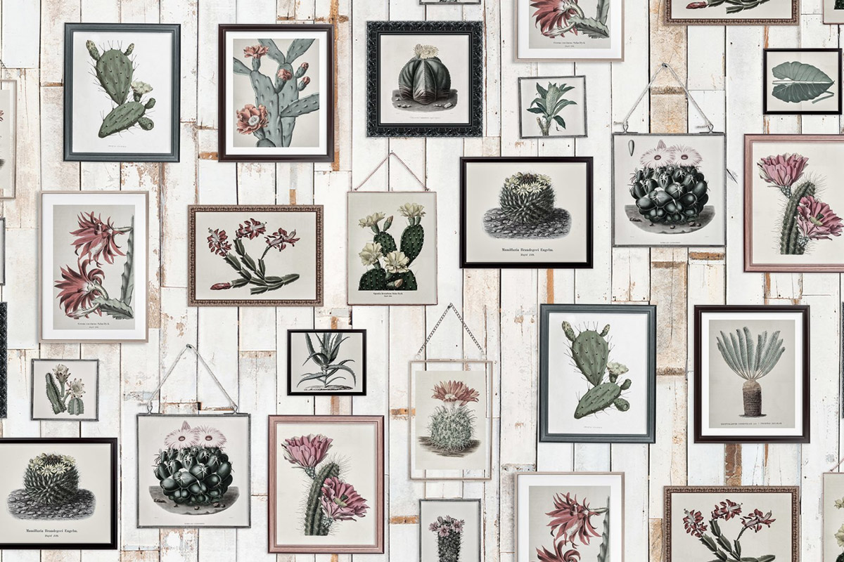 Wandbild Cactus Wall Art - Faded