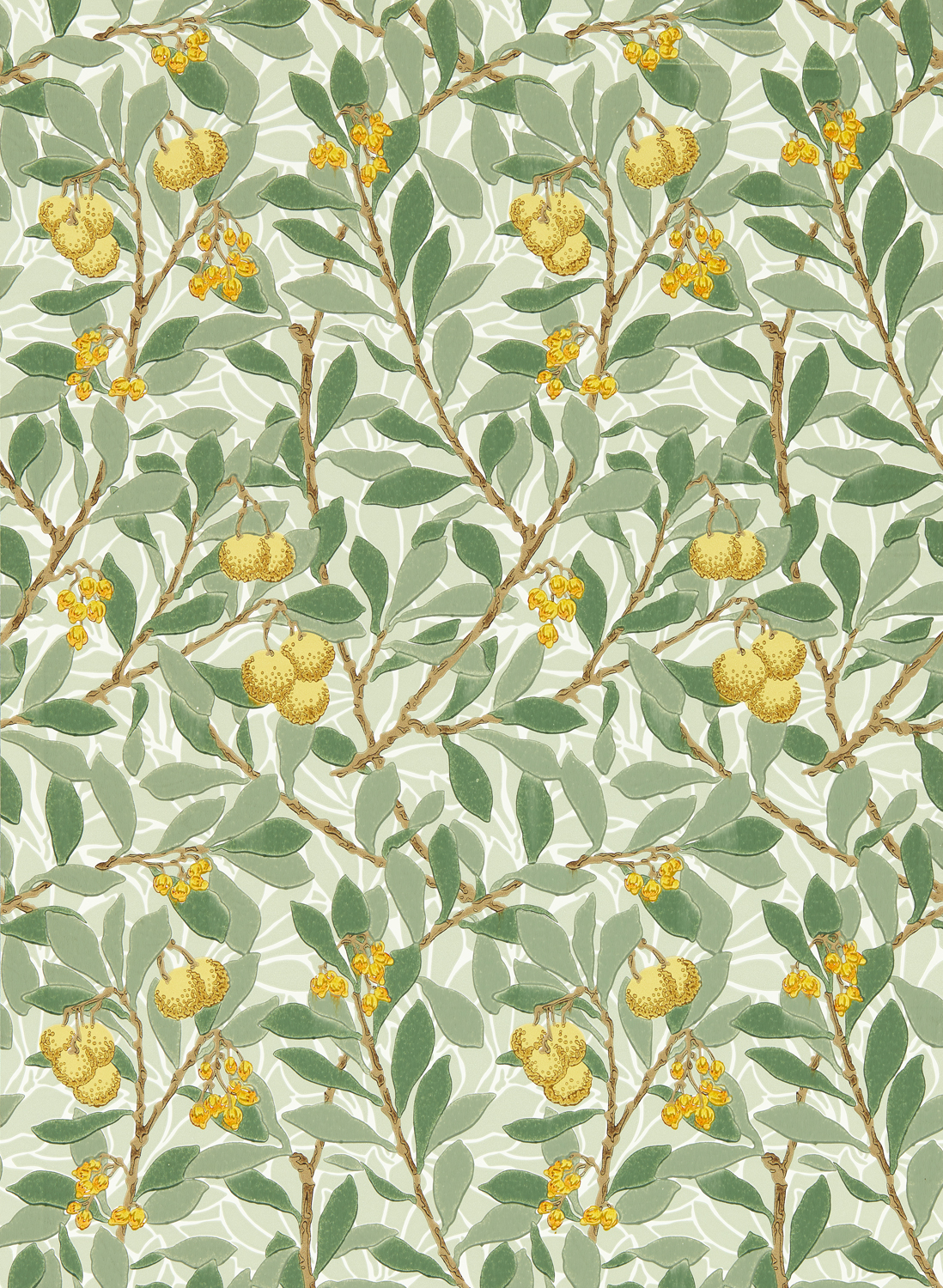 Tapete Arbutus - Sage/ Lemon