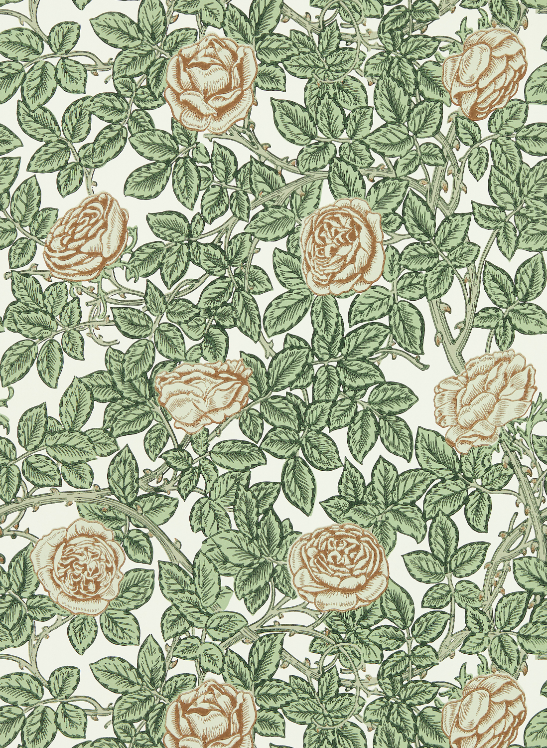 Tapete Rambling Rose - Leafy Arbour/ Pearwood