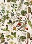 7457_2_House-of-Hackney-Tapete-Herbarium-1-WA-HER-ECR-XXX-78103