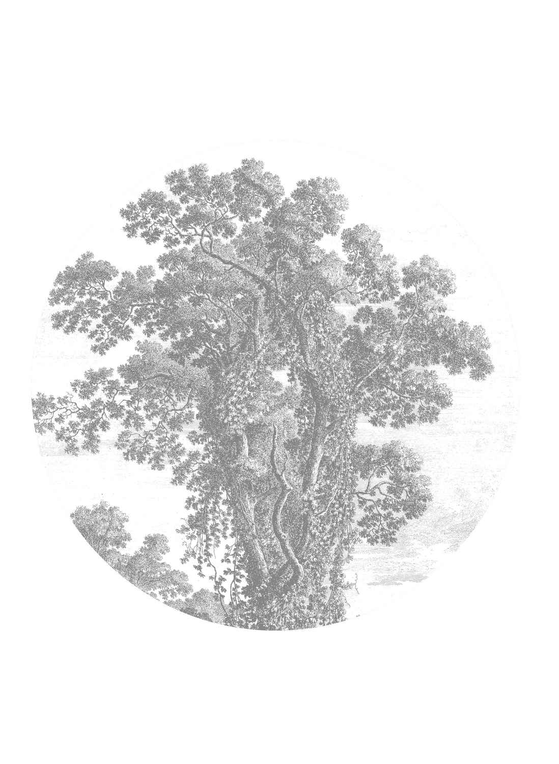 Wandbild Engraved Tree Circle - BW - Ø 1,425m