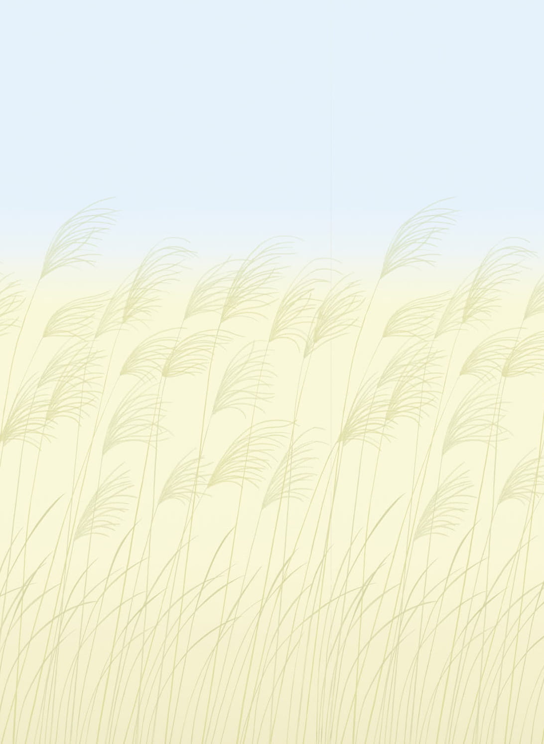Wandbild Miscanthus - Buttermilk/ Sky