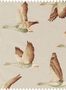 n50013_3_XL1_Sanderson_Elysian_Geese_Fabric_226518-136076