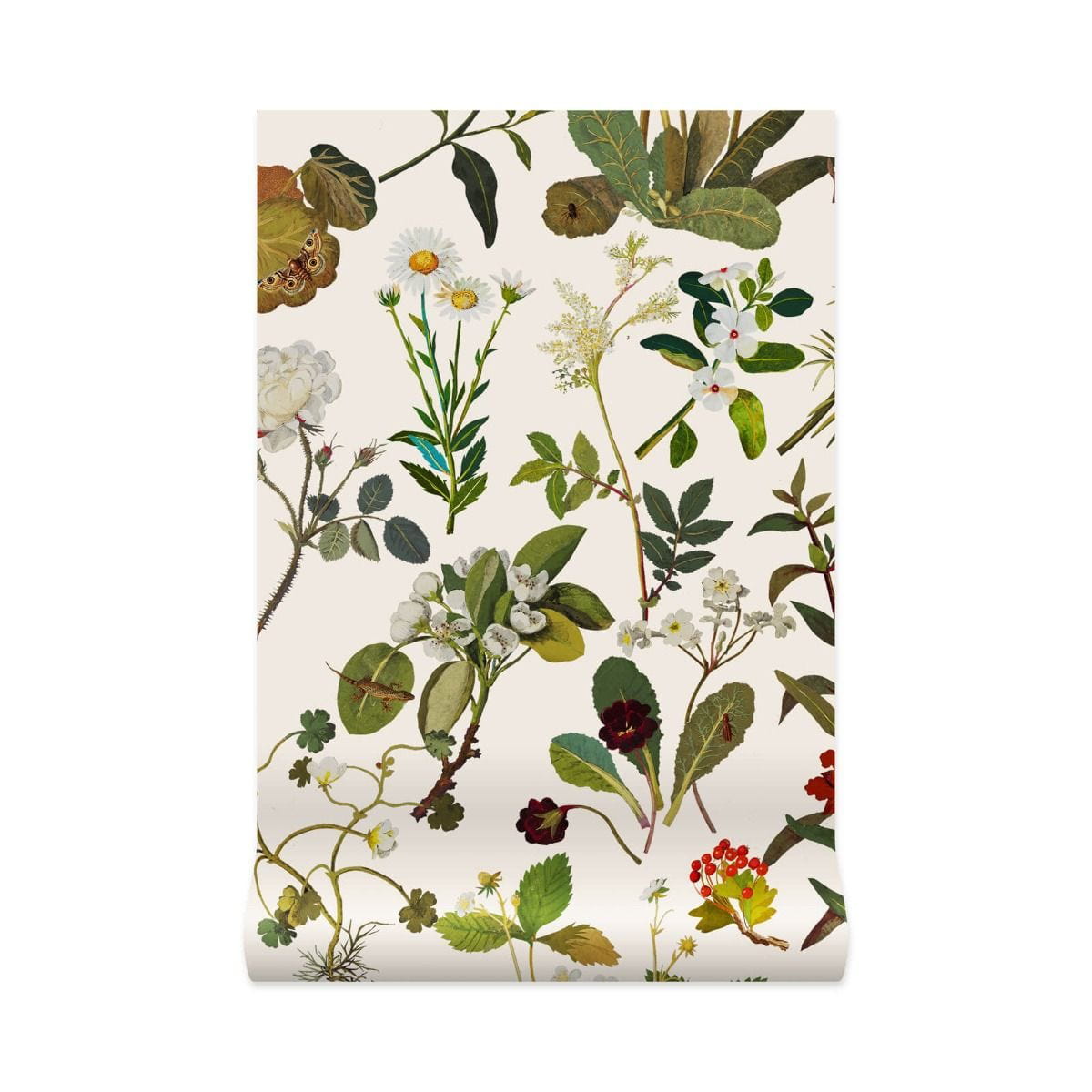 Carta da parati Herbarium - Ecru
