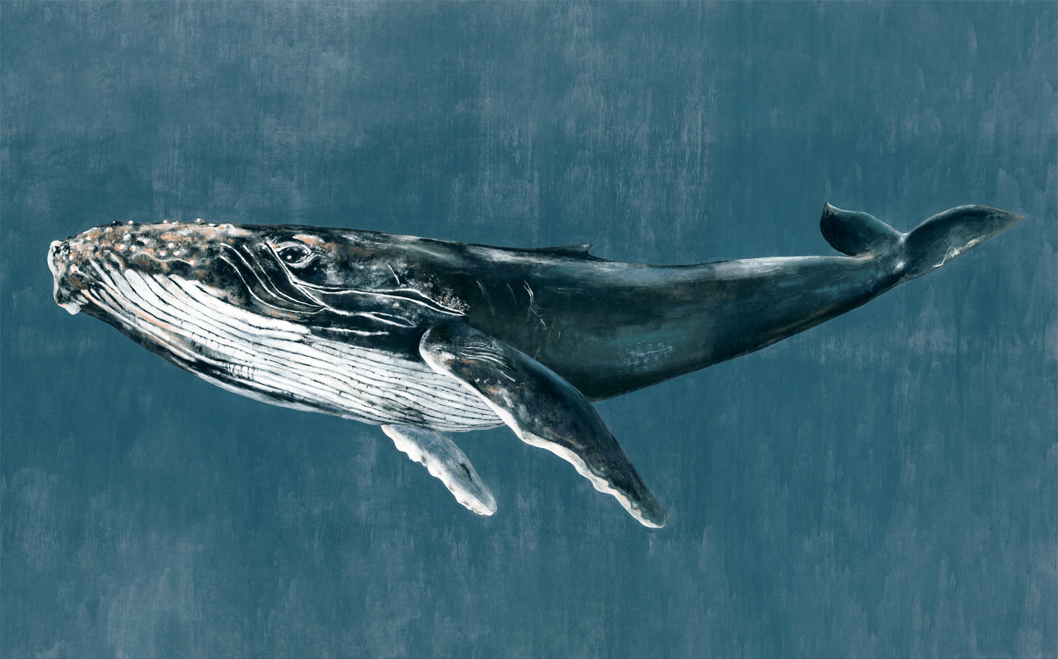 Wandbild Humpback Whale - Vintage