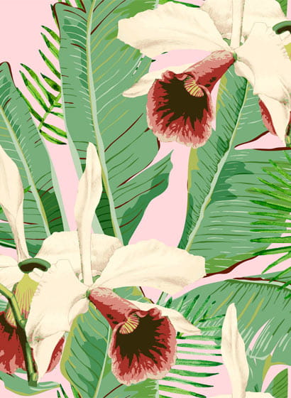 Tapete Treasure Island - Pink