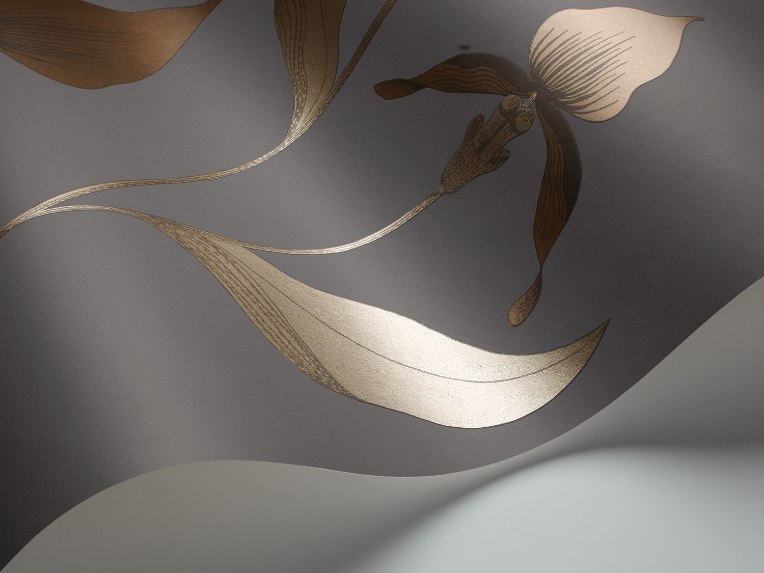 Tapete Orchid - Bronze on Slate
