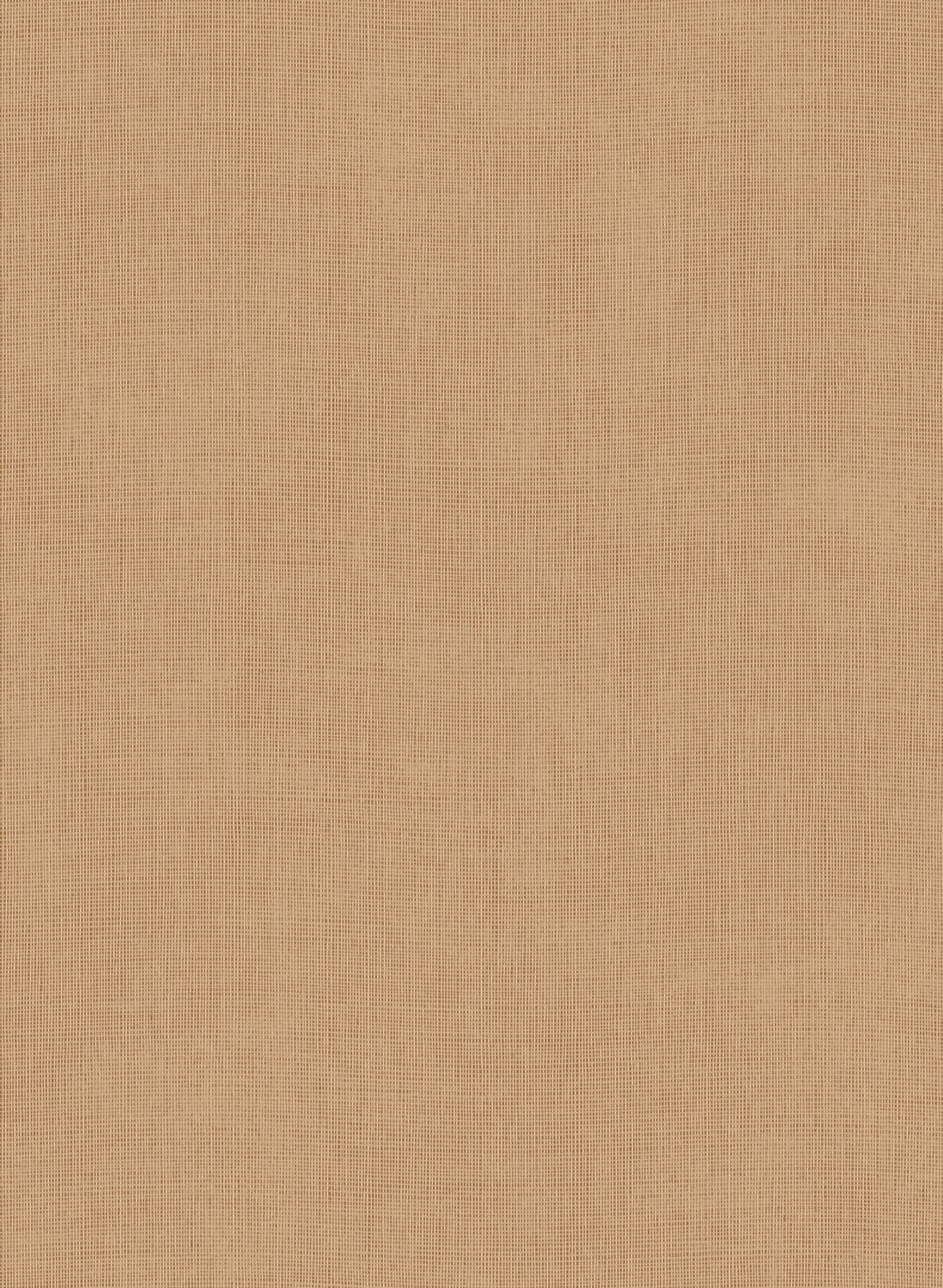 Tapete Tulle - Ginger