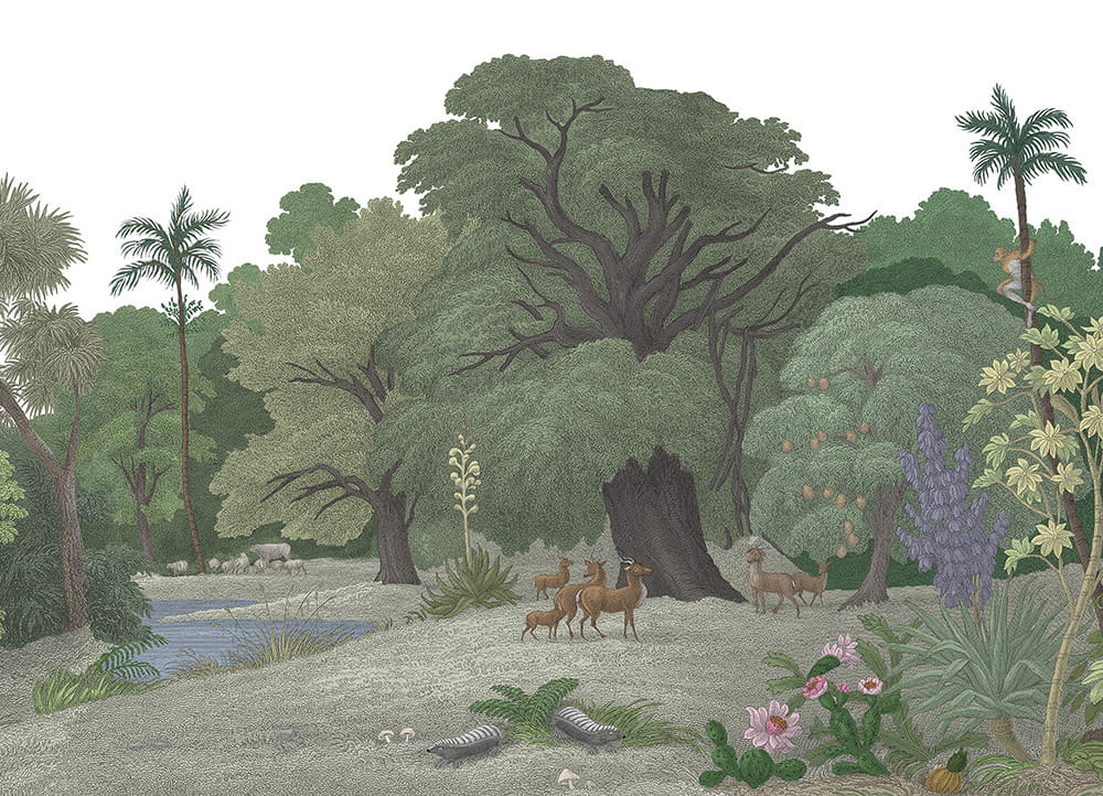 Wandbild Jungle Land - Color B