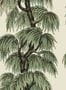 4181_1_House-of-Hackney-Babylon-1-WA-BAB-DI-PAP-XXX-72994