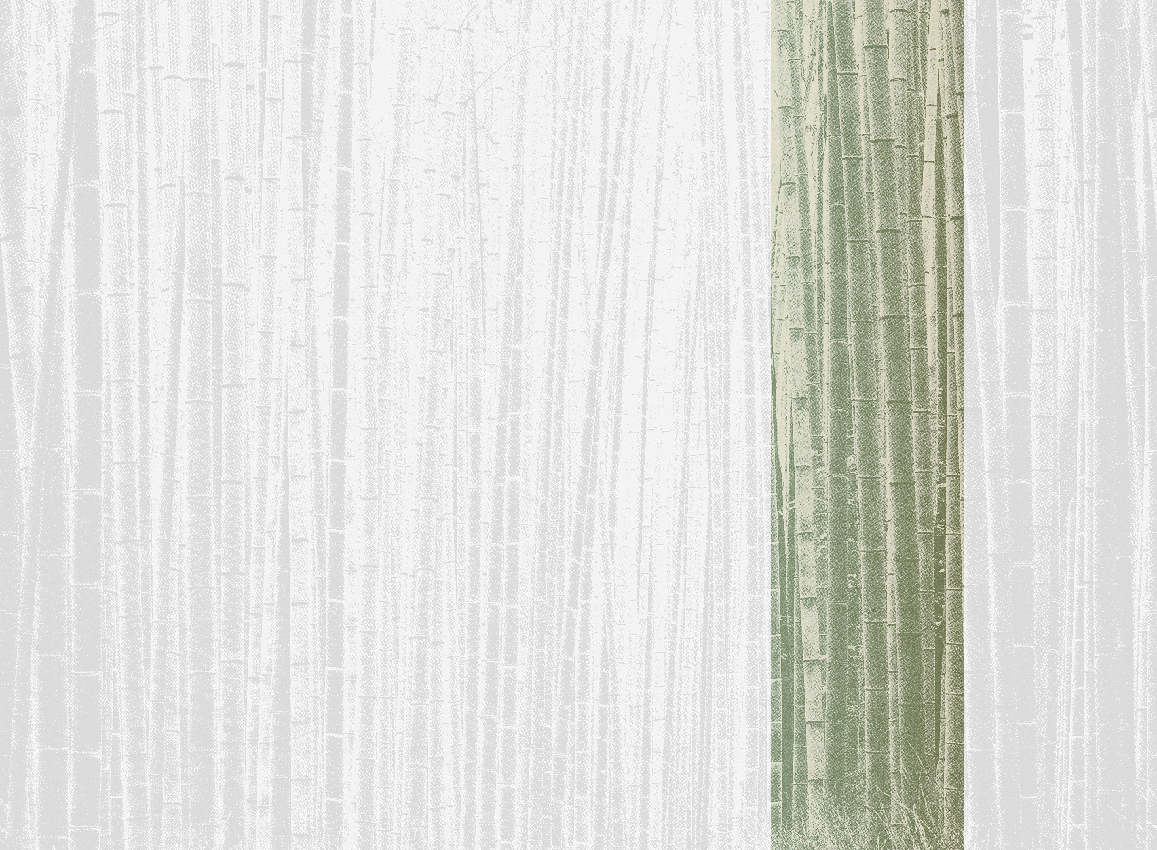 Wandbild Arashiyama - Sage Panel 5