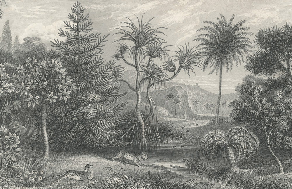 Wandbild Jungle Land Vintage - Teil A