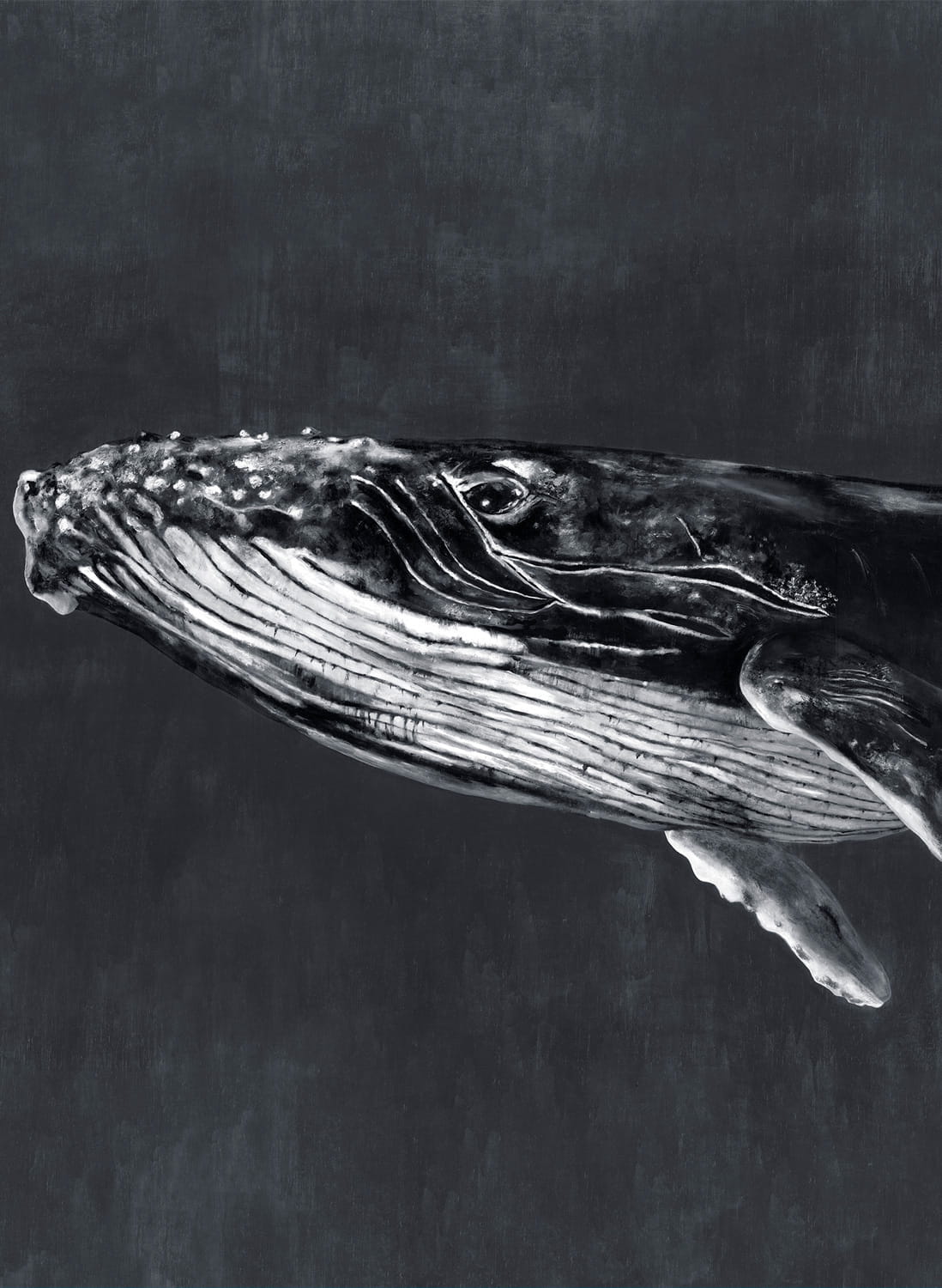 Wandbild Humpback Whale - Night