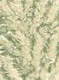 1876_3_cole_and_son_archive_anthology_florencecourt-23333