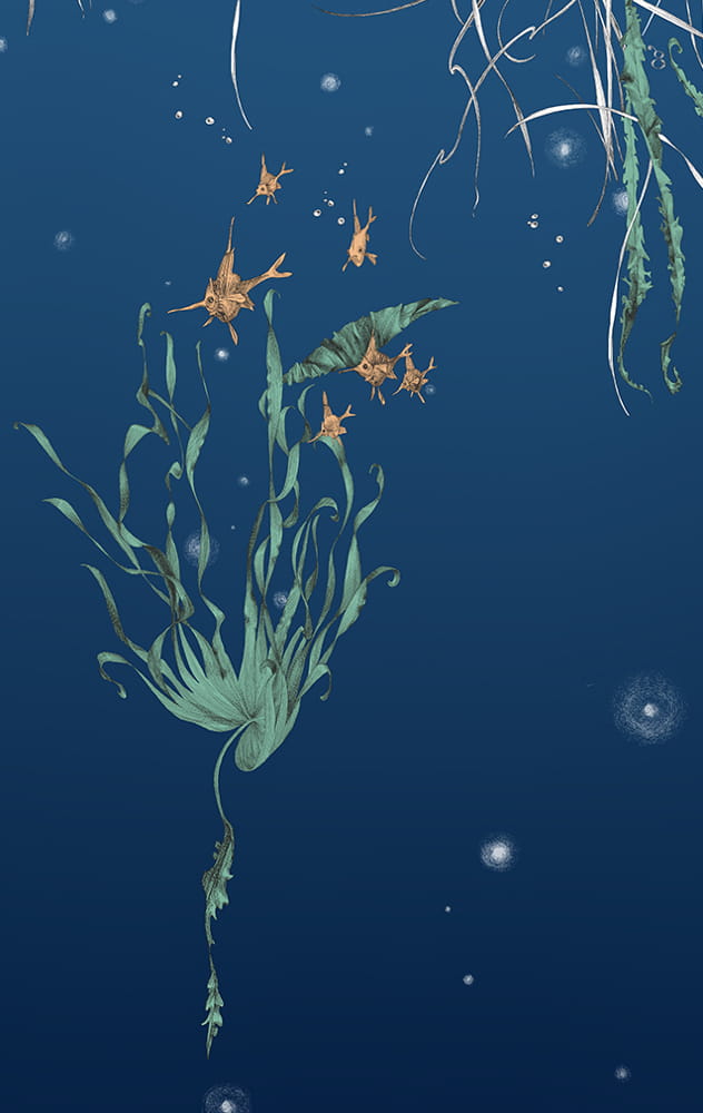 Tapete Nautilus/Méduses/Nénuphars - Marine - Nénuphars droit - Marine