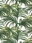 2607_1_house_of_hackney_palmeral-26138