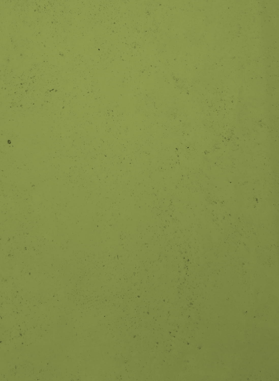 Spring Green - 89
