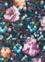 9513_1_Clarke_and_Clarke_Camile_W0148-01-94596