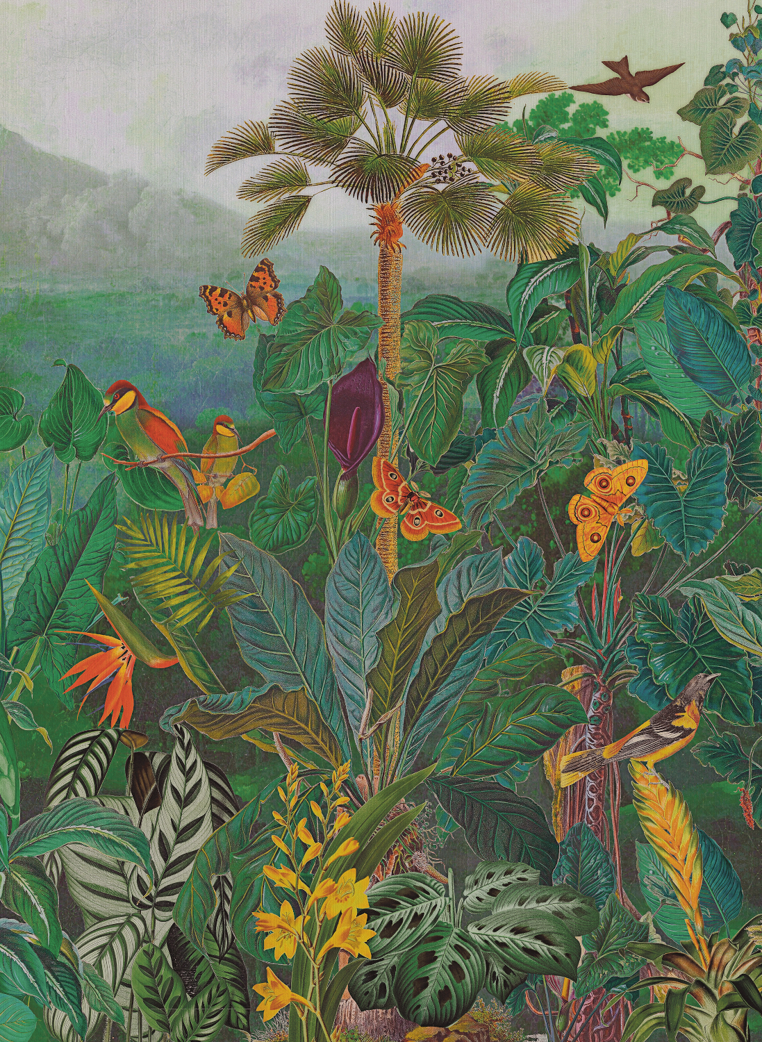 Wandbild The Tropics - BOP401