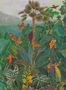 17101_01_Omexco_BOP4_The_Tropics__BOP401-165196