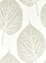 5933_2_Harlequin_Leaf_112609-77088