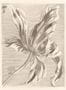 4390_2_eijffinger_tulip_teyler_358117-32807