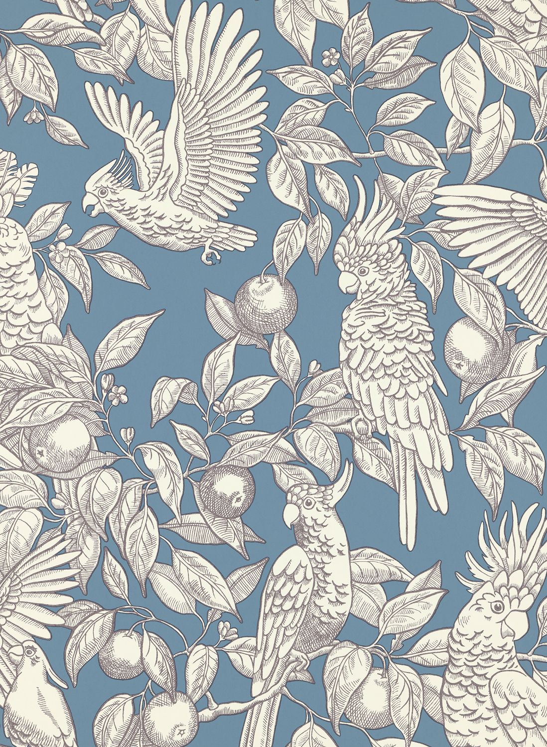 Tapete Talk about Cockatoos - Faded Denim