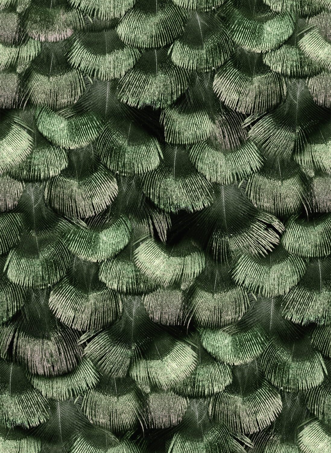 Tapete Petite Peacock Plumage - Jade