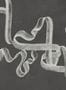 16162_1_Coordonné_Ribbon_B00247-134126