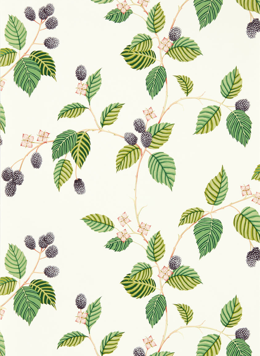 Tapete Rubus - Blackberry