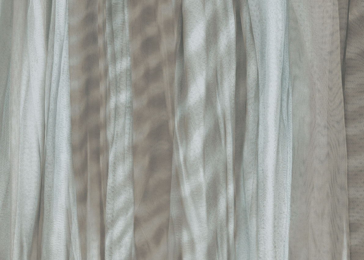 Tapete Marais - 9553