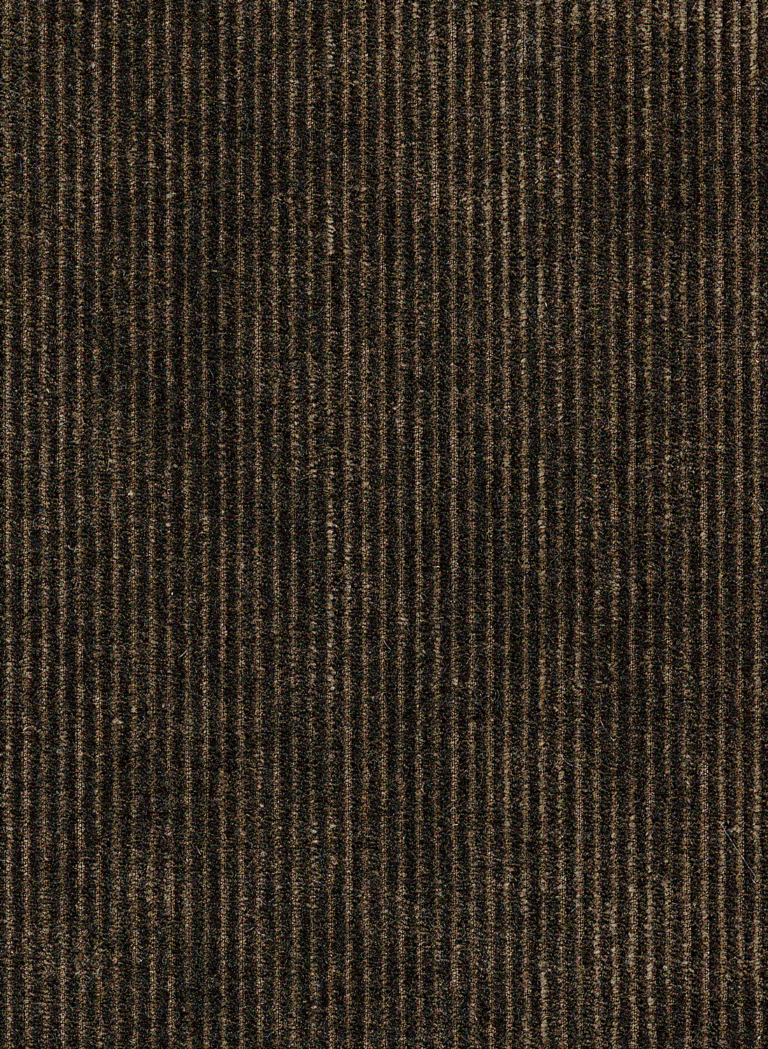 Tapete Tinneroy - 29503