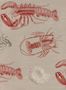 3160_2_mindthegap_lobster_wp20013-28579
