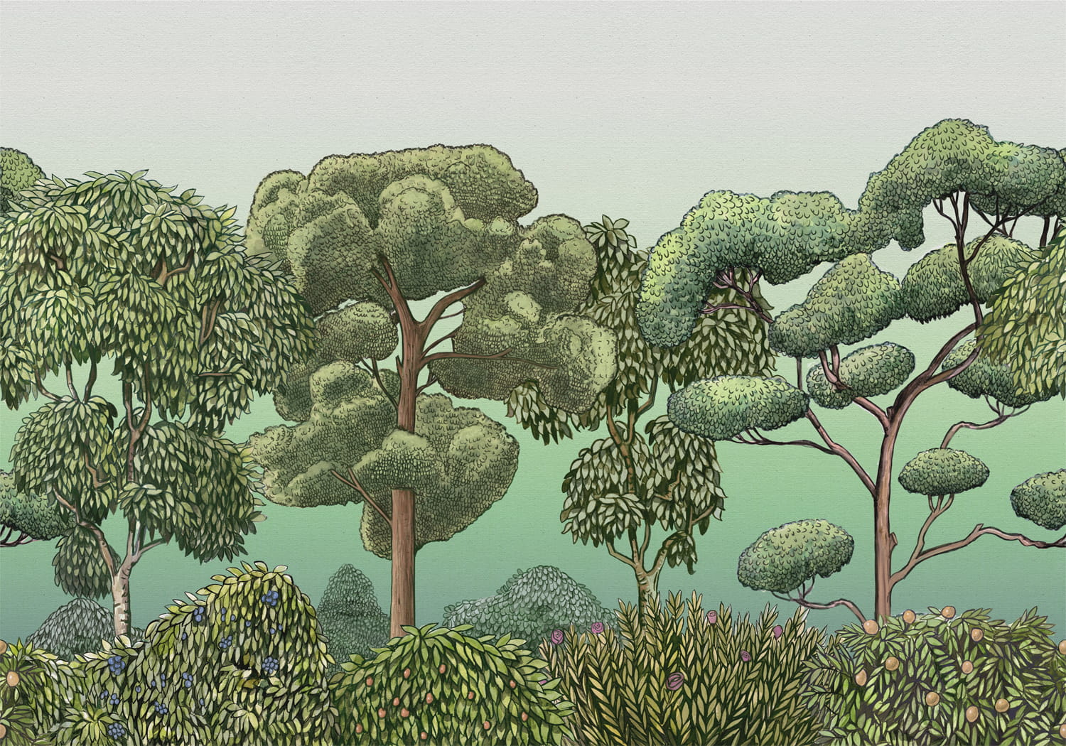 Wandbild Green Forest - Dew