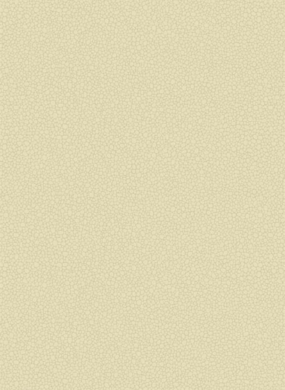 Tapete Pebble - Cream