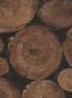 4438_1_andrew_martin_lumberjack_engluti-53487