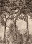 16153_4_Coordonné_Byron_Poem_B00374-134428