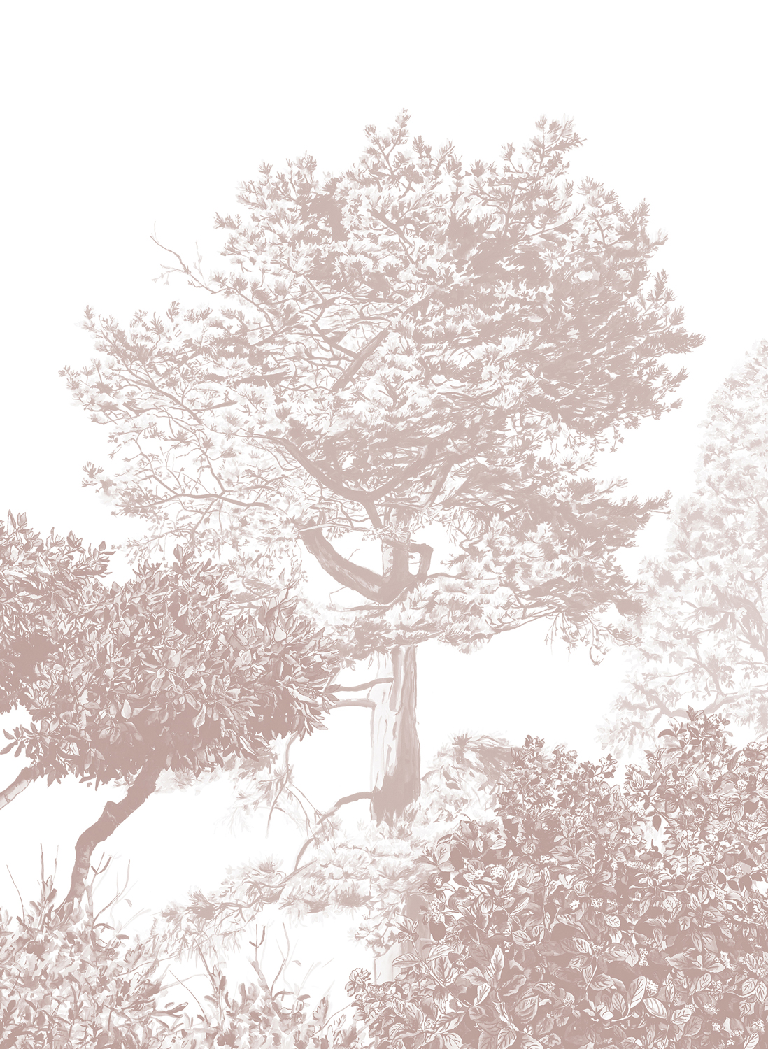 Wandbild Hua Trees - Brown