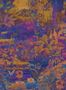 14851_8_Jannelli_and_Volpi_Coari_40254-131591